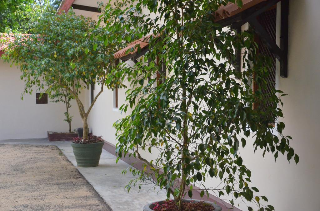 The Buena Vista Kandy Zewnętrze zdjęcie