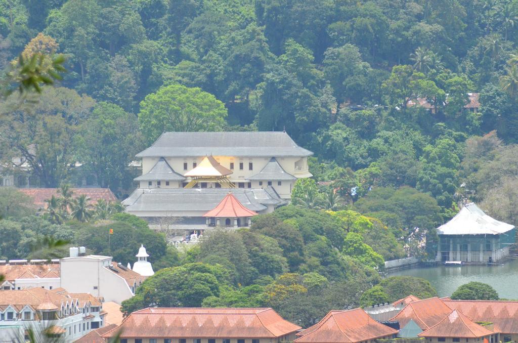 The Buena Vista Kandy Zewnętrze zdjęcie